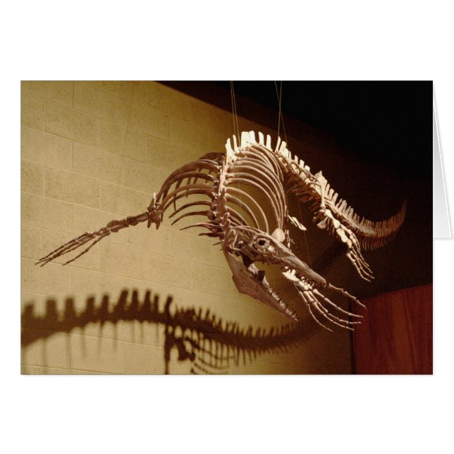 Mosasaur - "lézard de mer " (Devant horizontal)