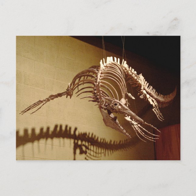 Mosasaur - "Sea Lizard" Postkarte (Vorderseite)