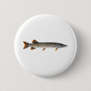 Moschusartig - Muskellunge Button