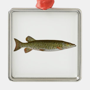Moschusartig (Muskellunge) Ornament Aus Metall