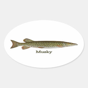 Moschusartig (Muskellunge) Ovaler Aufkleber