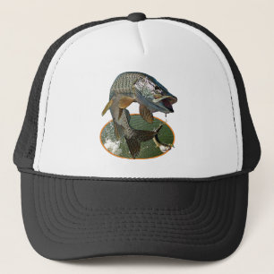 Moschusartige 6 truckerkappe