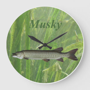 Moschusartige Uhr