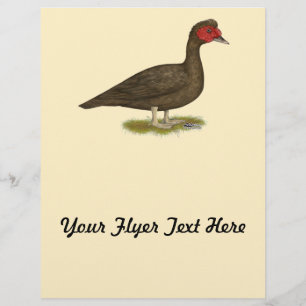 Moschuserpel Schokolade Flyer