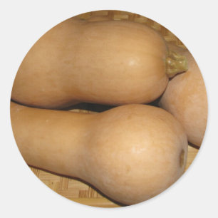 Moschuskürbis Runder Aufkleber