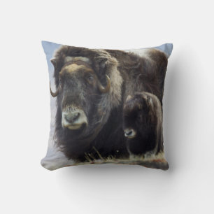 Moschusochse mit Kalb Kissen