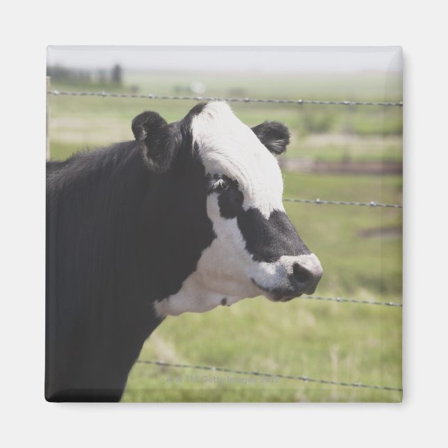 Moseleigh, Alberta, Kanada Magnet (Vorne)