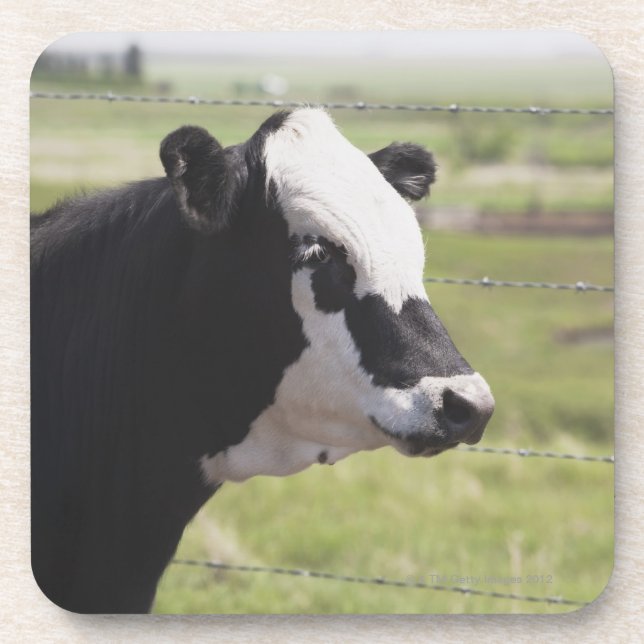 Moseleigh, Alberta, Kanada Untersetzer (Vorderseite)