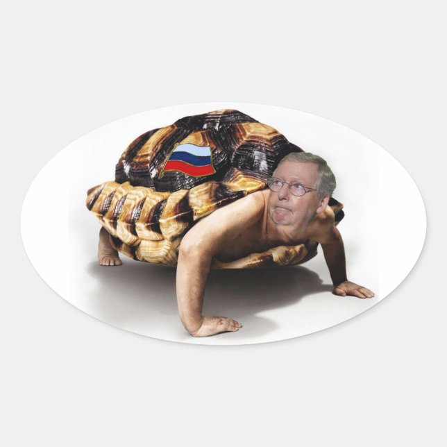 Moskau Mitch Man-Turtle Ovaler Aufkleber (Vorderseite)
