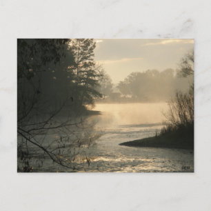 Mosquito See-Staats-Park-Postkarte Postkarte