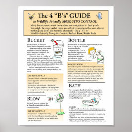 Mosquito Solutions Poster