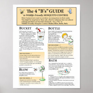 Mosquito Solutions Poster