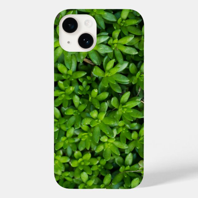 Moss Abstrakt iPhone Case (Rückseite)