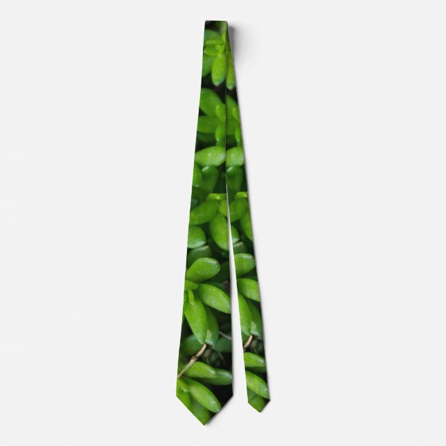 Moss Abstrakt Neck Tie Krawatte (Vorderseite)