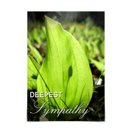 Moss and Dogwood Card "Deepest Beileid" Karte