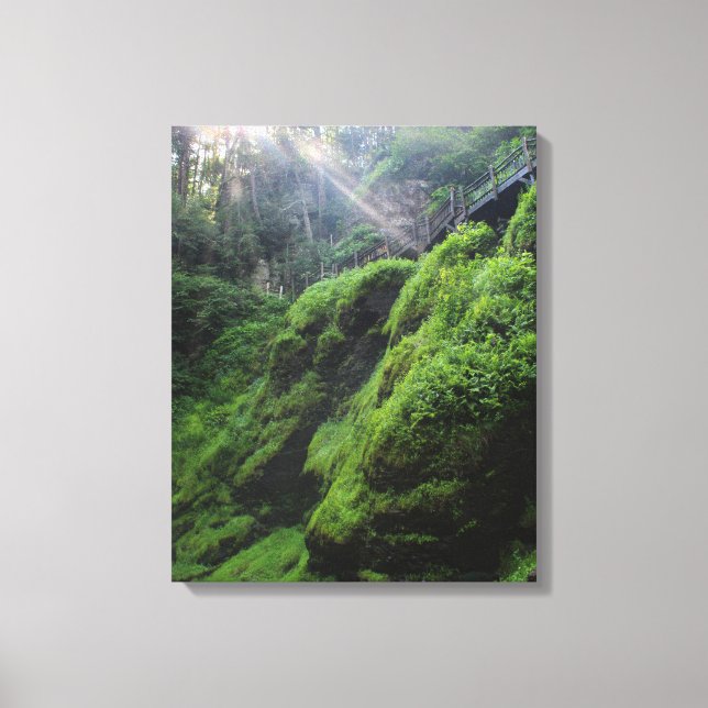 Moss Covered Rocks Canvas Print Leinwanddruck (Vorderseite)