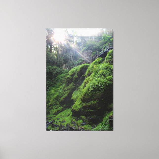 Moss Covered Rocks Canvas Print Leinwanddruck (Vorderseite)