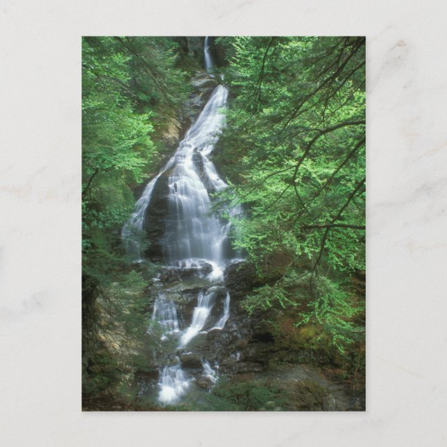 Moss Glen Falls Stowe Vermont Postkarte (Vorderseite)