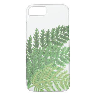 Moss Green Fern title_seo2
