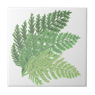 Moss Green Fern Fliese