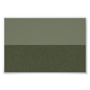 Moss Green Split Texture Photo agrandissement