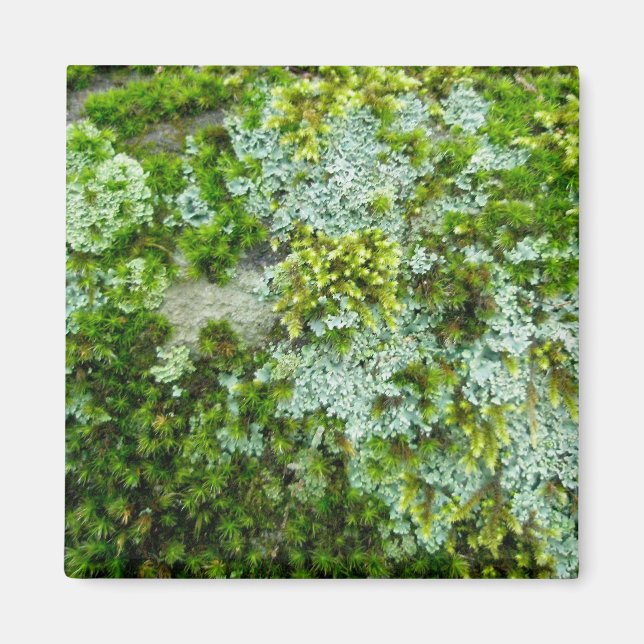 Moss & Lichen auf Rock Magnet (Vorne)
