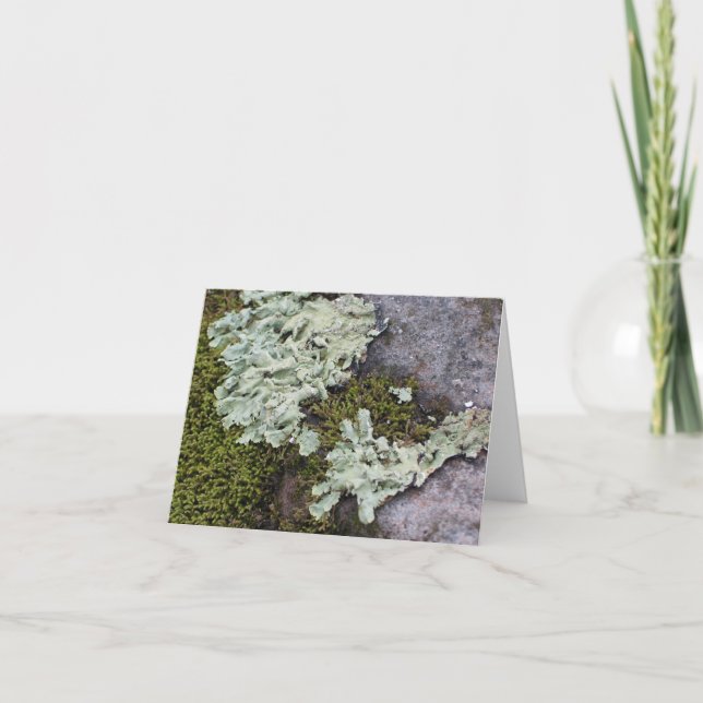 Moss & Lichen Notecard Karte (Vorderseite)