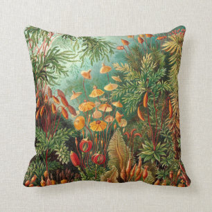 Moss (Muscinae) von Haeckel Kissen