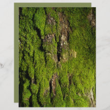 Moss on tree bark scrapbook paper