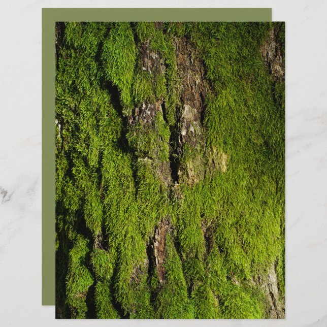 Moss on tree bark scrapbook paper (Vorne/Hinten)