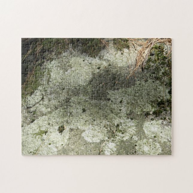 Moss und Lichen auf Rock (Horizontal)