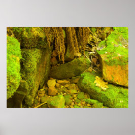 Moss und Stein – Hungarian Falls, Upper Peninsula Poster