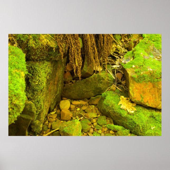 Moss und Stein – Hungarian Falls, Upper Peninsula Poster (Vorne)