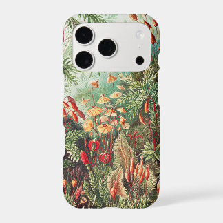 Mosses, Muscinae Laubmoose par Ernst Haeckel