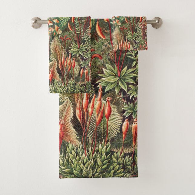 Mosses, Muscinae Laubmoose par Ernst Haeckel (En situation)