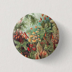 Mosses, Muscinae Laubmoose von Ernst Haeckel Button