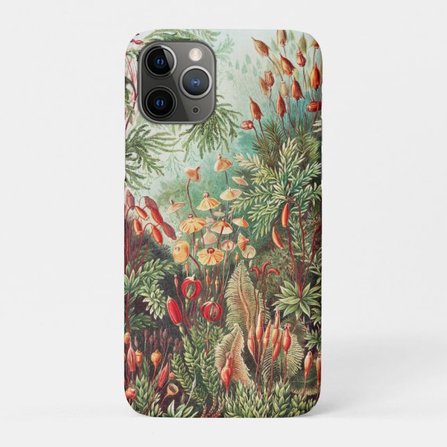 Mosses, Muscinae Laubmoose von Ernst Haeckel Case-Mate iPhone Hülle (Rückseite)