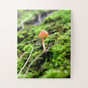 Mosses und Lichens mit winzigen Mushroom