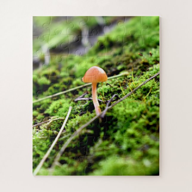 Mosses und Lichens mit winzigen Mushroom (Vertikal)