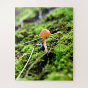 Mosses und Lichens mit winzigen Mushroom