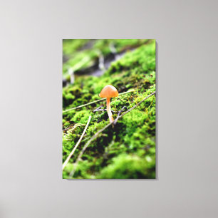 Mosses und Lichens mit winzigen Mushroom Leinwanddruck