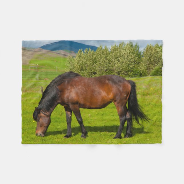 Mossfellsbaer Islandpferd Fleecedecke (Vorderseite (Horizontal))