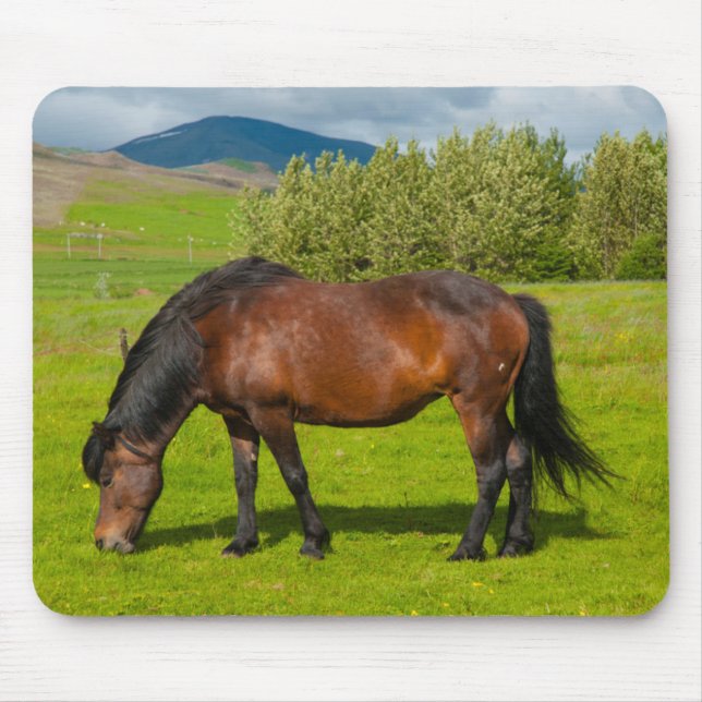 Mossfellsbaer Islandpferd Mousepad (Vorne)
