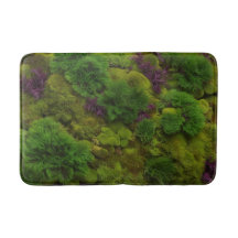 Mossy