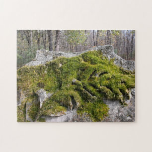 Mossy Broken Headstone
