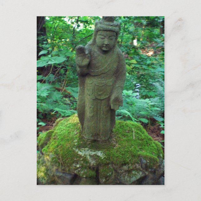 Mossy Buddha Postkarte (Vorderseite)