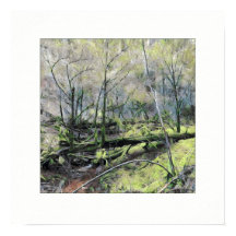Mossy Forest