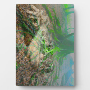 Mossy Frog Fotoplatte