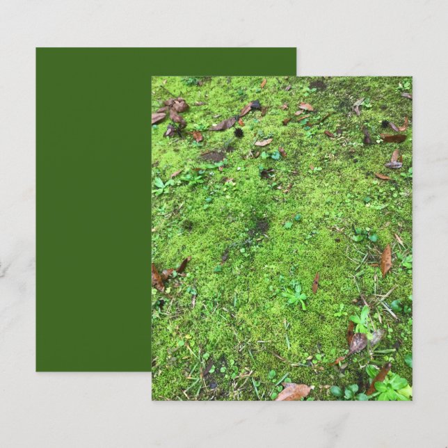 Mossy Green Woodlands Scrapbook Paper (Vorne/Hinten)