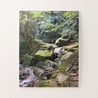 Mossy Mountain Stream in a Japanese Forest Jigsaw